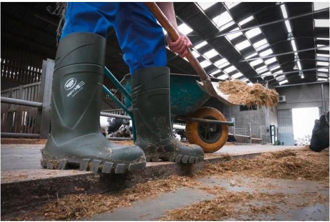 Produktbild Kerbl Sicherheitsstiefel S5 Bekina Steplite XCI Winter (S5, 41)