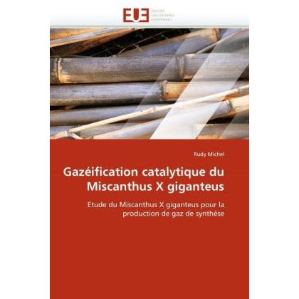 Gazéification catalytique du Miscanthus X giganteus, Fachbücher