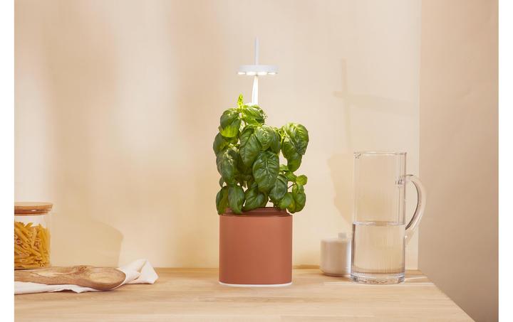 Produktbild Prêt à Pousser Kräutertopf Nano, Terracota (13.50 cm)