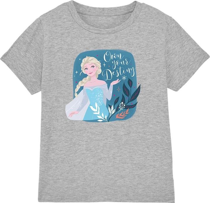 Produktbild Disney Frozen Own Your Destiny TShirt (116)