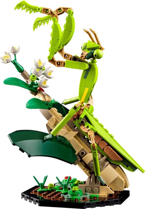 Image du produit LEGO La collection d'insectes (21342, LEGO Ideas)
