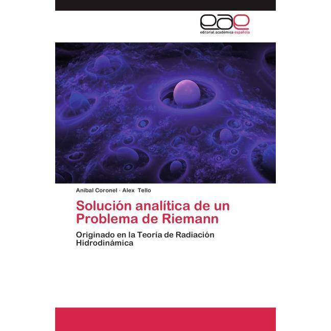 Solución analítica de un Problema de Riemann, Fachbücher