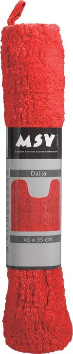Immagine prodotto MSV Dalija (40 x 60 cm)