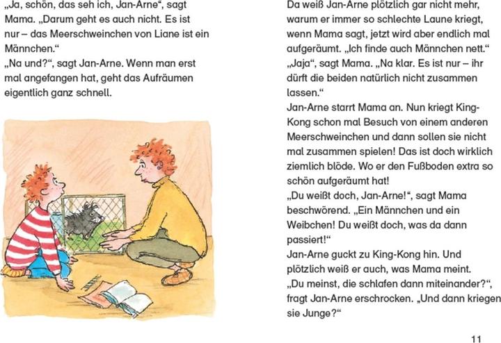 Actual product image King-Kong the love pig (Kirsten Boie, Silke Brix, German)