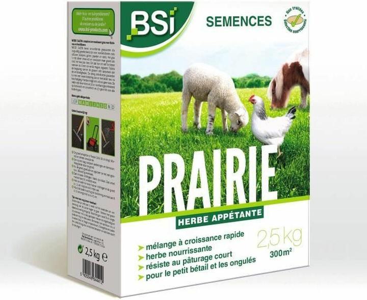 Bsi Graszaad Weide - 2,5 Kg (Risemina del prato)