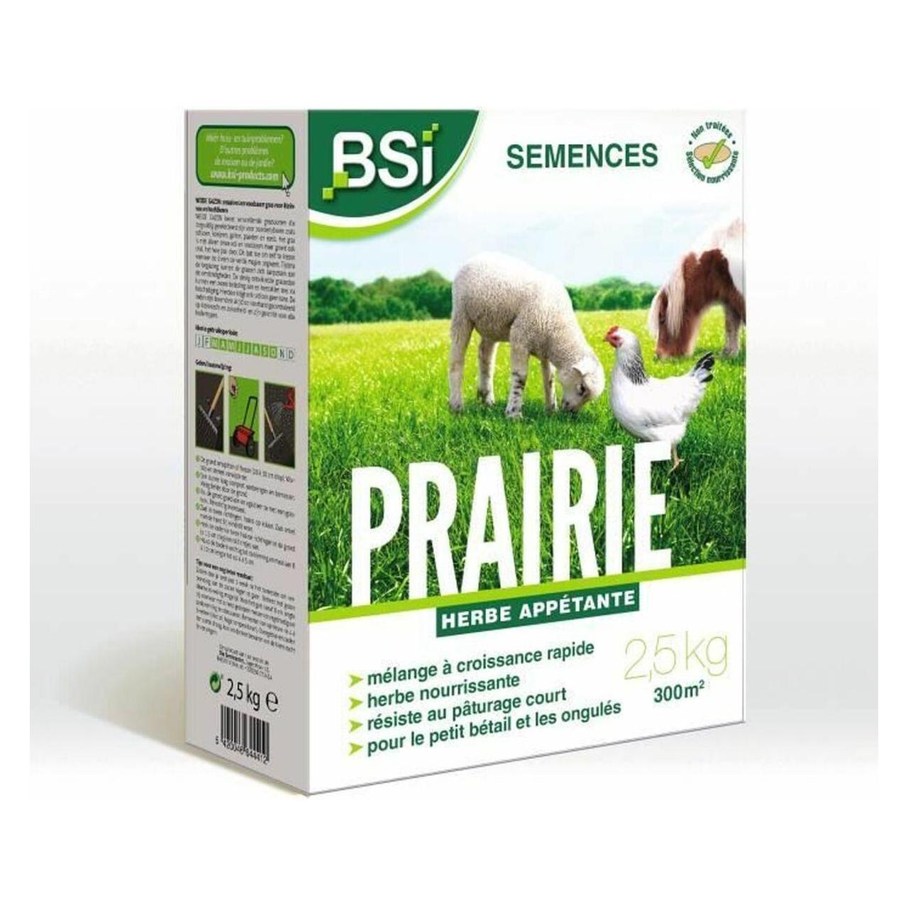 Bsi, Zaden, Graszaad Weide - 2, 5 Kg (Gazonzaad)