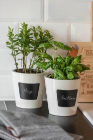 Actual product image Wenko Waia herb pot (13 x 13.50 cm)