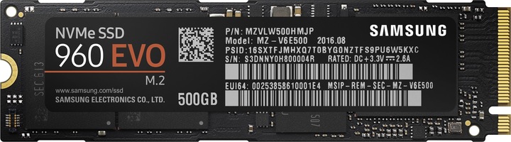 Samsung 960 Evo (500 GB, M.2)