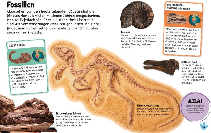 Immagine prodotto Lessico degli adesivi. Dinosauri