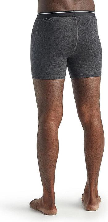 Actual product image Icebreaker Anatomica (L)