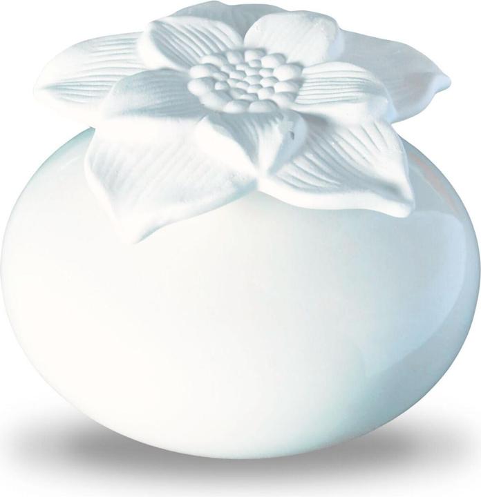 Produktbild Zen Arôme Kapillar-Diffusor mit Gipsblume Diffuser für ätherische Öle oder Raumdüfte Aromatherapie N (140 ml)