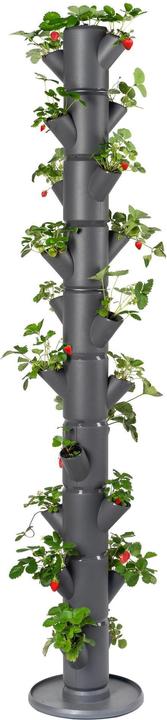 Immagine prodotto Gusta Garden Vasi per vivaio SISSI STRAWBERRY Infinity, antracite (27 cm)