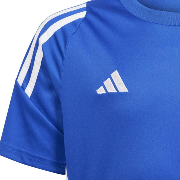 Actual product image adidas TIRO24 JSY Y (116)