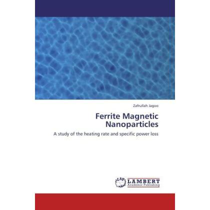 Ferrite Magnetic Nanoparticles, Fachbücher von Zafrullah Jagoo