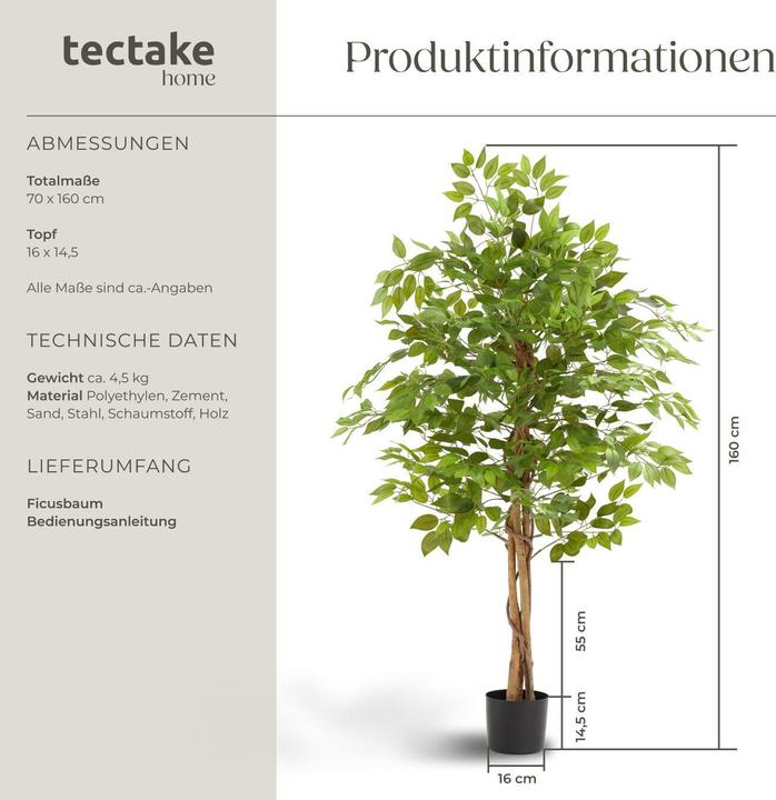 Image du produit tectake Ficus Fida (160 cm)
