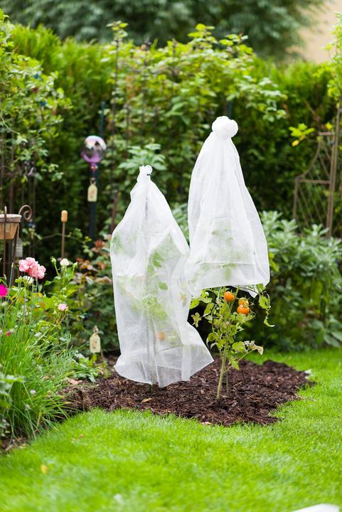 Productafbeelding Windhager Tomatenvliesslang10x0,65m