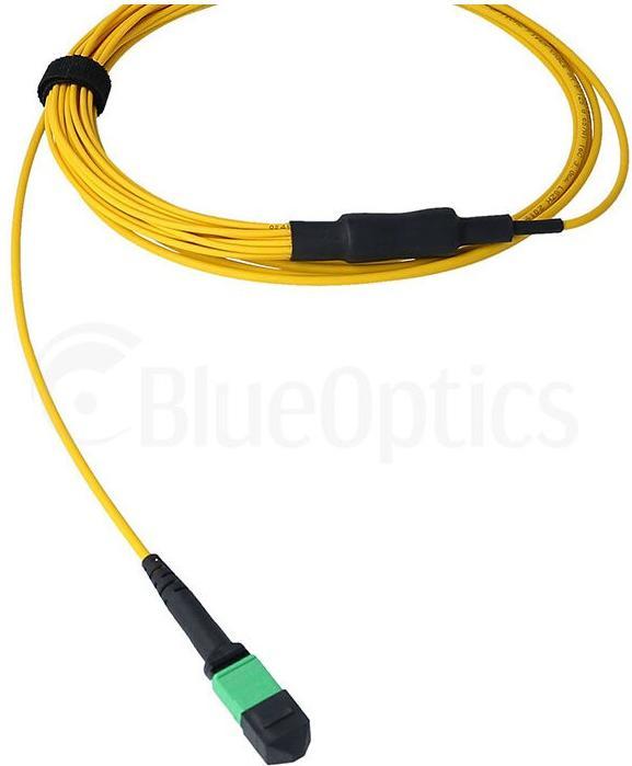 Produktbild BlueOptics LWL MTP/8xSC Duplex Breakout Kabel G.657.A1 Singlemode 3 Meter (3 m)
