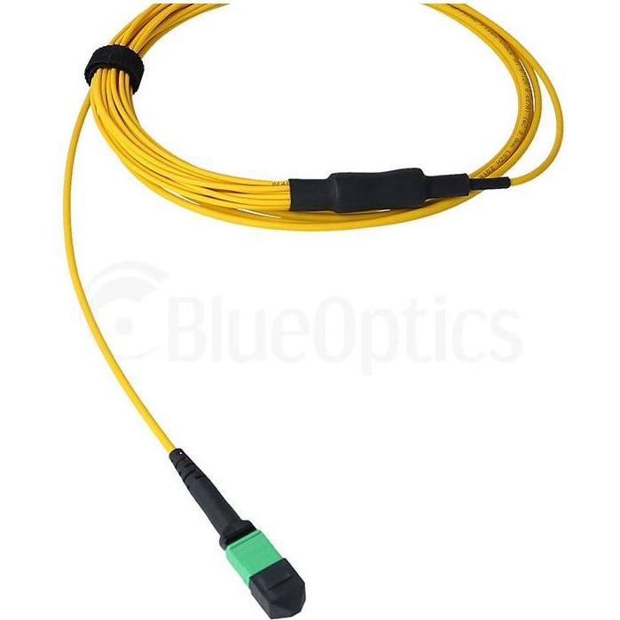 BlueOptics LWL MTP/8xSC Duplex Breakout Kabel G.657.A1 Singlemode 5 Meter (5 m), Netzwerkkabel