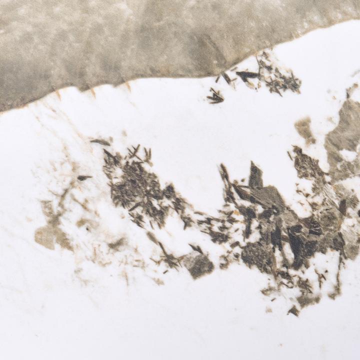 Image du produit Beliani Dora