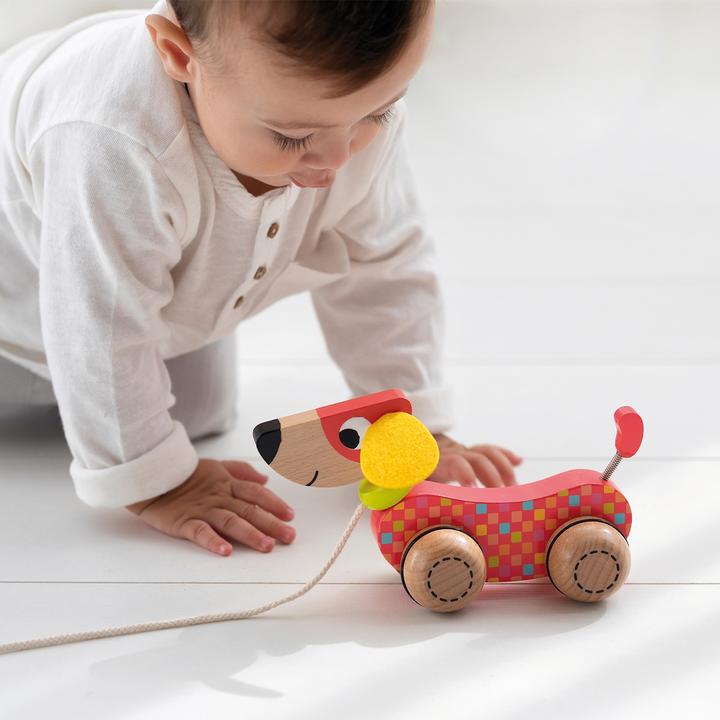 Actual product image Goula Pull dog