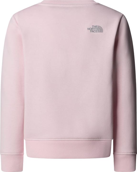 Immagine prodotto North Face Reflective Logo Relaxed Crew (134, 140)