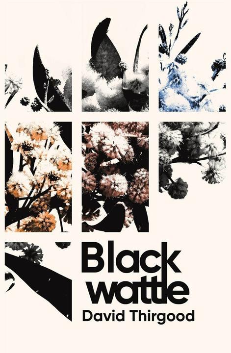 Produktbild Blackwattle