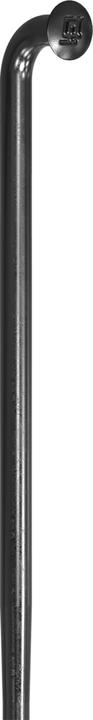 Image du produit DT Swiss Alpine II spokes