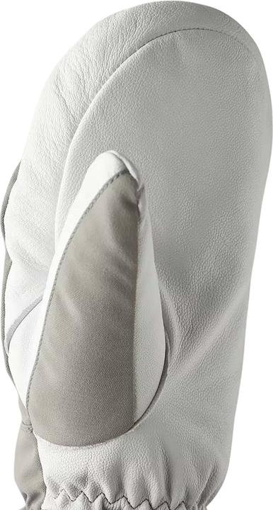 Produktbild Hestra Army Leather Heli Ski Mitt (10)