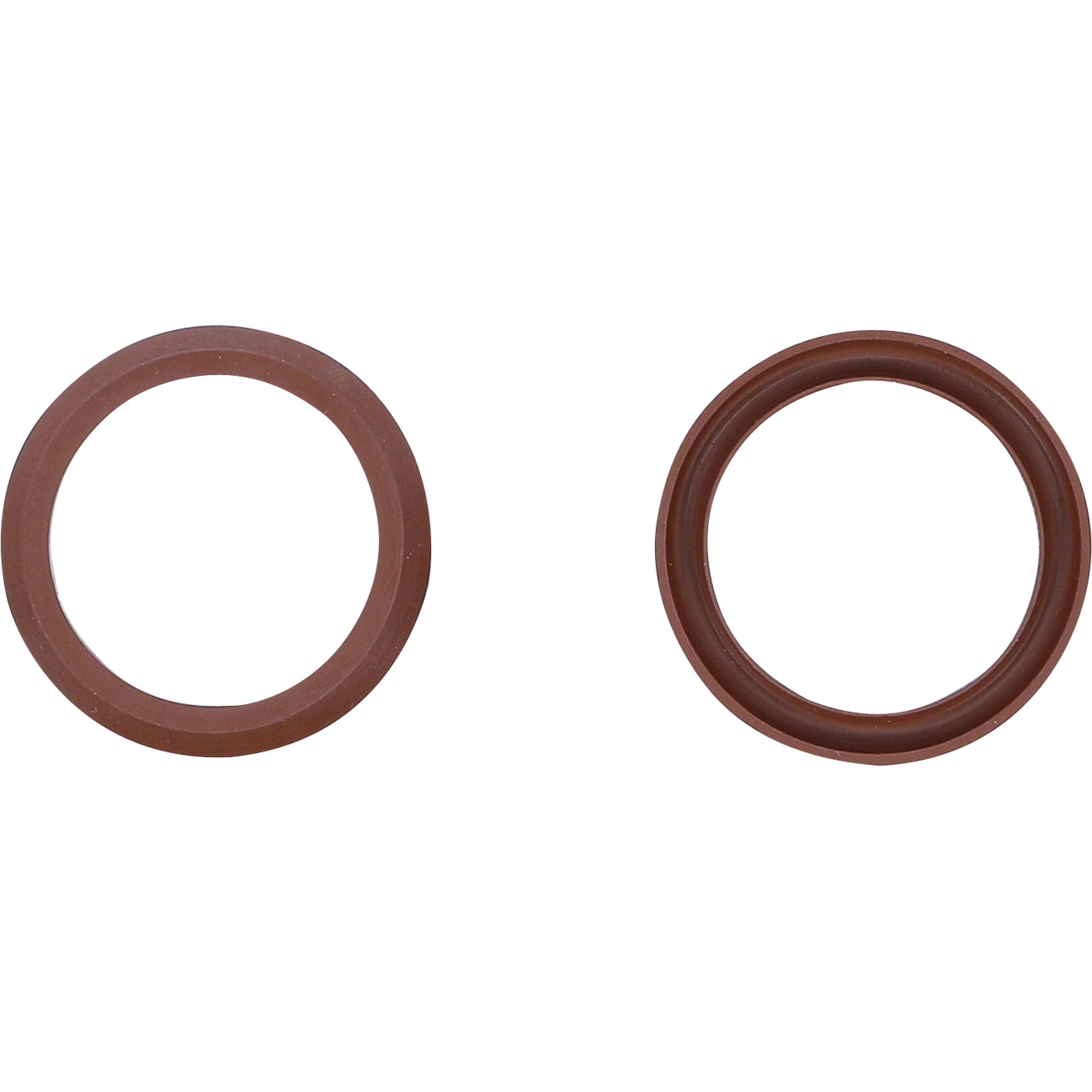 BGS Fluorelastomer-Dichtung zu Art. 4067 (4067-1)