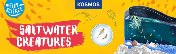 Actual product image Kosmos Fun Science Scurrying brine shrimp - INT