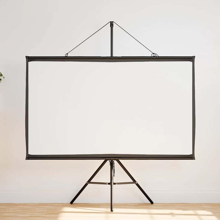 Actual product image vidaXL Projektionsleinwand (50", 16:9)