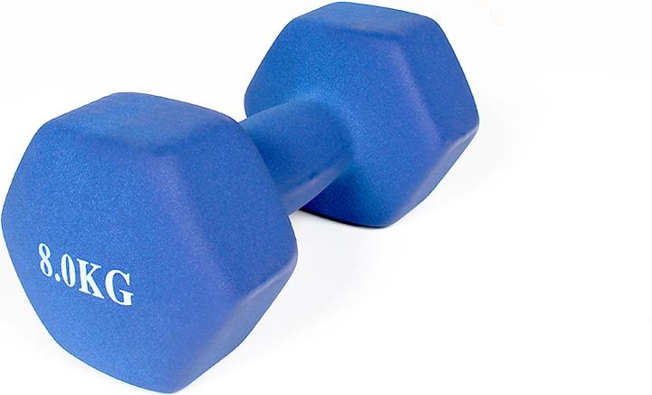 Image du produit Gladiatorfit Haltères en néoprène (2 x 8 kg)
