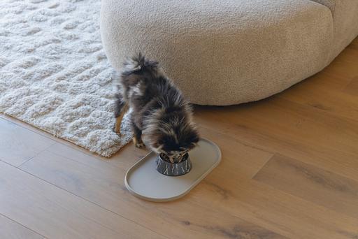 Actual product image Designed by Lotte Dog bowl Meis (0.16 l)