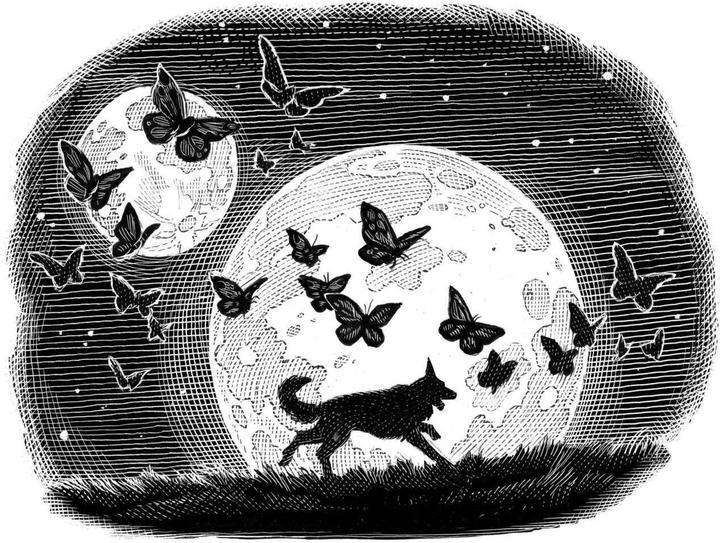 Produktbild Fairy Tale (DE)