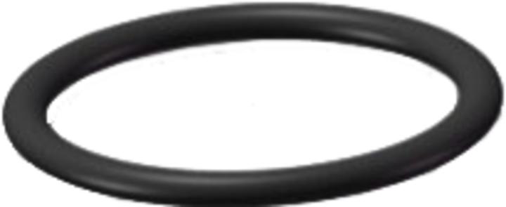 Actual product image Kind Shock O-ring P2824