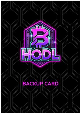 Image du produit SafeInKrypto HODL Phoenix Kit