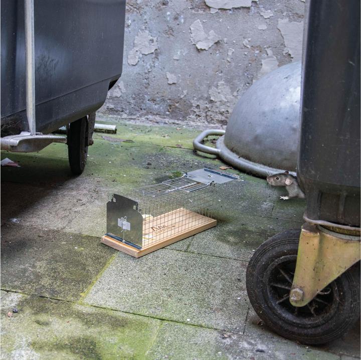 Produktbild Gardigo Lebendfalle Rat Cage Trap Lock