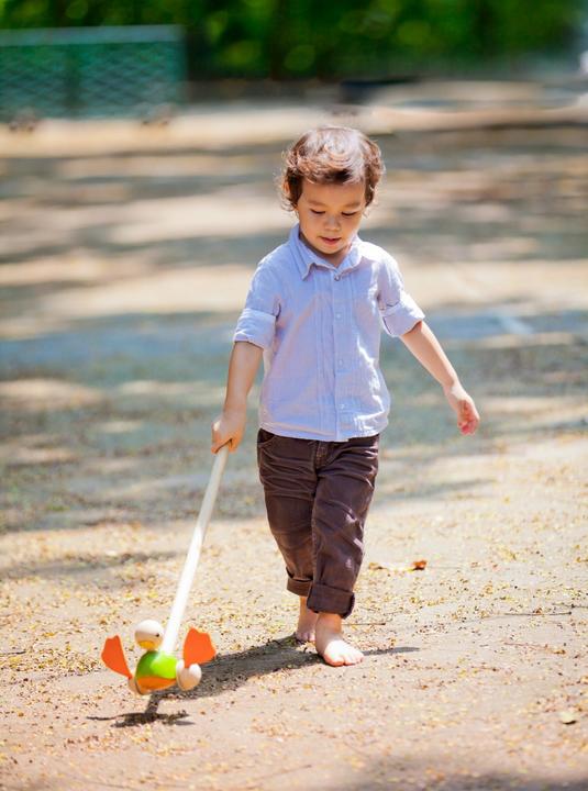 Actual product image Plantoys Duck for poking