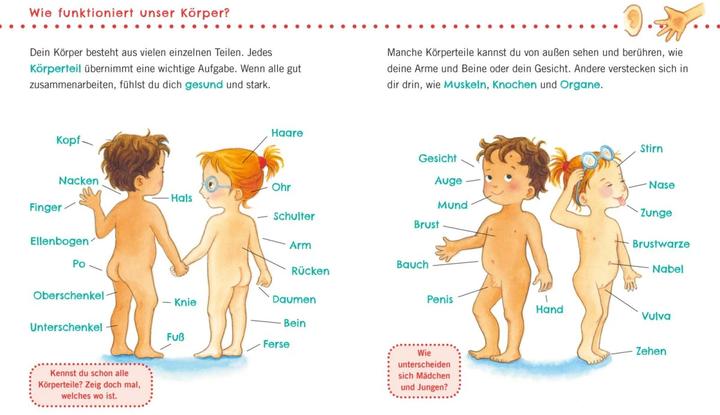 Produktbild Unkaputtbar: Erstes Wissen: Das ist mein Körper (Deutsch, Denitza Gruber, Maria Höck, 2023)