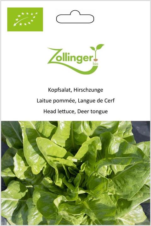 Image du produit Zollinger Bio Laitue pommée, langue de cerf (Germes)