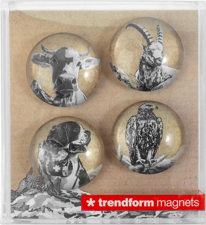 Produktbild Trendform EYE-Magnete BELLA & FRIENDS (4x)