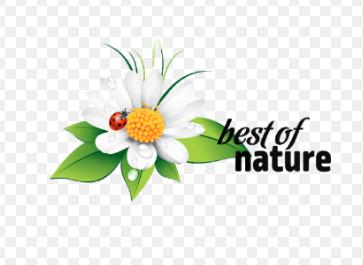 Produktbild Natura Rote Linsen (1000 g)