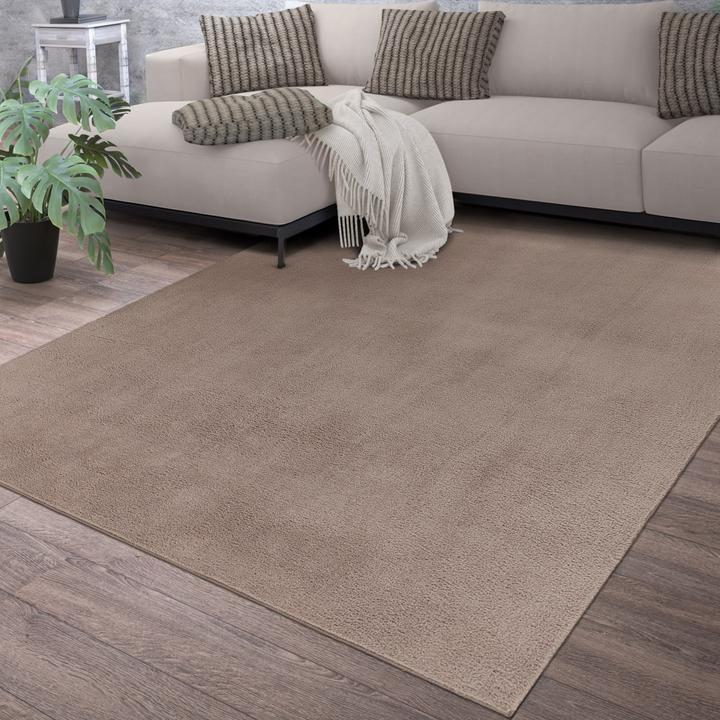 Produktbild TT Home Wohnzimmer Kurzflor Einfarbig Modernes Design Waschbar (220 x 160 cm)