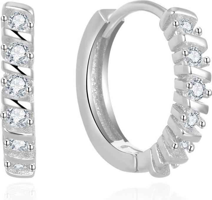 Produktbild Beneto Elegant round earrings with zircons AGUC2680 (L)