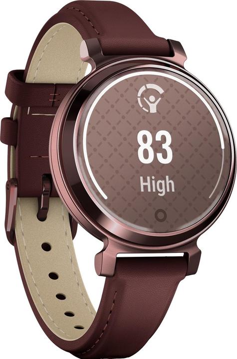 Image du produit Garmin 010-02839-03 Lilly 2