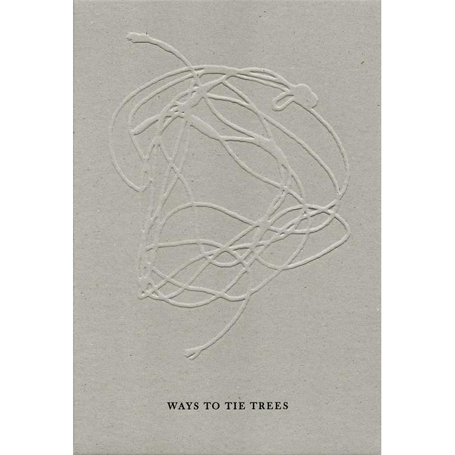 Teng:Ways to Tie Trees, Ratgeber von Steidl