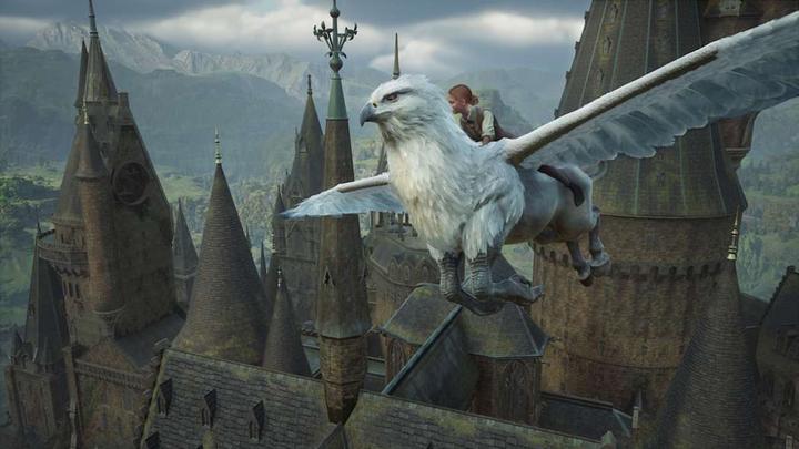 Image du produit Warner Bros Hogwarts Legacy (Switch 2, DE, EN, ES, FR, IT)