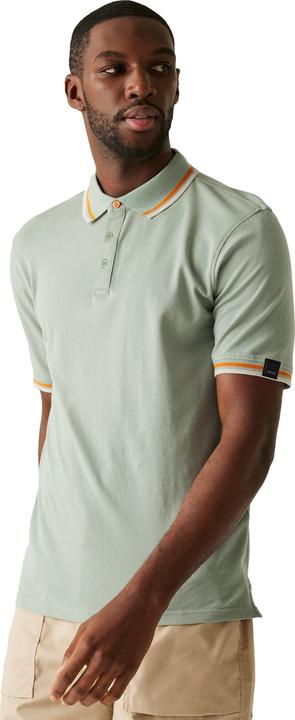 Actual product image Regatta Mens Adryan Polo Shirt (M)