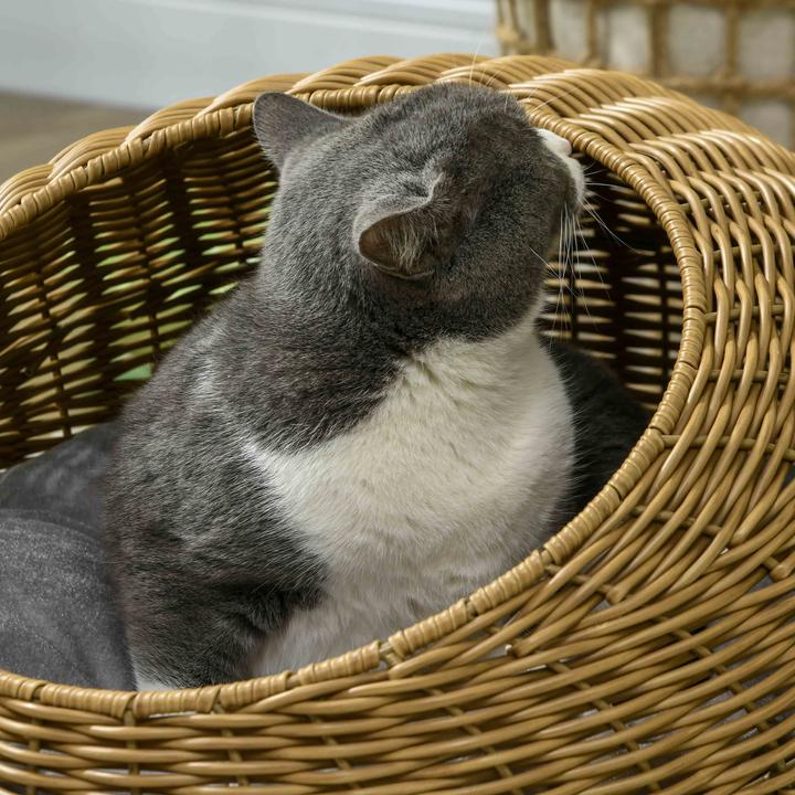 Produktbild PawHut Rattan Katzenkorb PE-Rattan, Polyester Braun (Katze)
