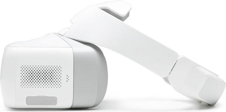Actual product image DJI Goggles